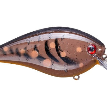 Strike King KVD Squarebill 2.5
