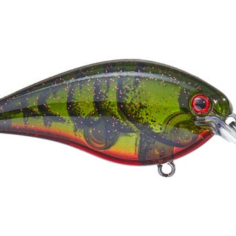 Strike King KVD 1.5 Hard Knock Crankbait