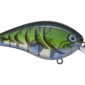 Strike King KVD 1.5 Hard Knock Crankbait