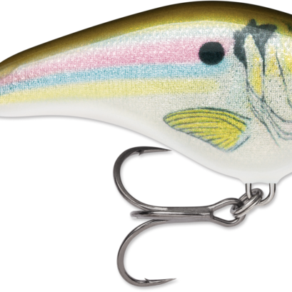Rapala Ott's Garage Slim 06