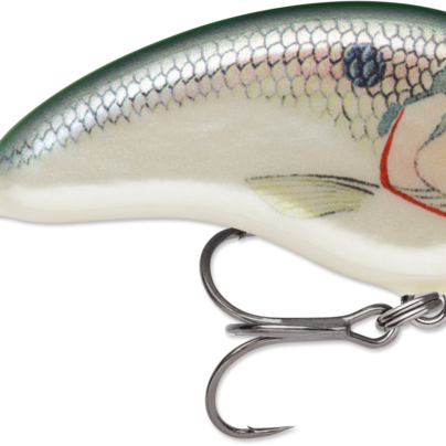 Rapala Ott's Garage Tiny 04