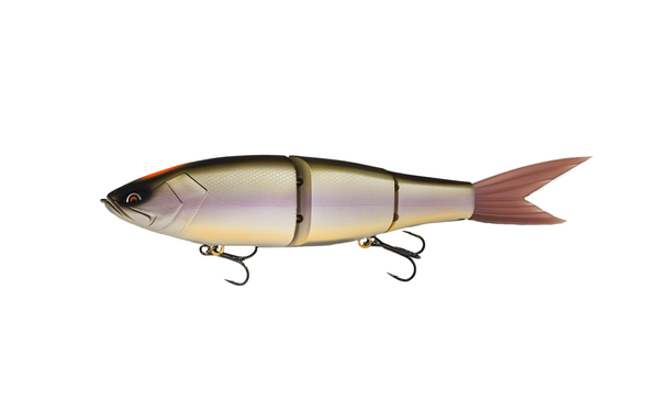 Galapagos Grace 280F