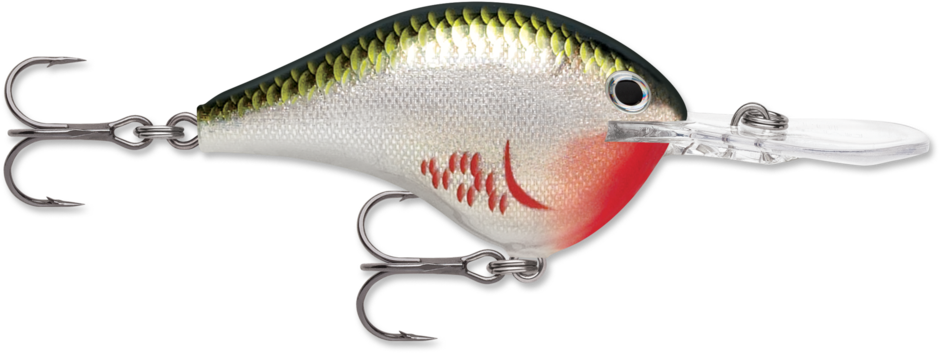 Rapala Dives-To 10 Series DT10