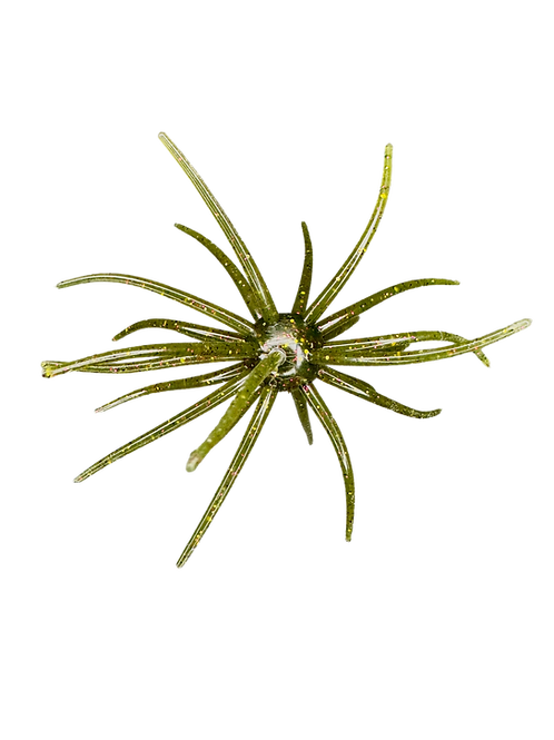 Hag's Prickly Pear 19mm