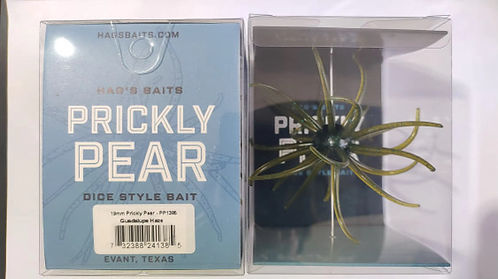 Hag's Prickly Pear 19mm