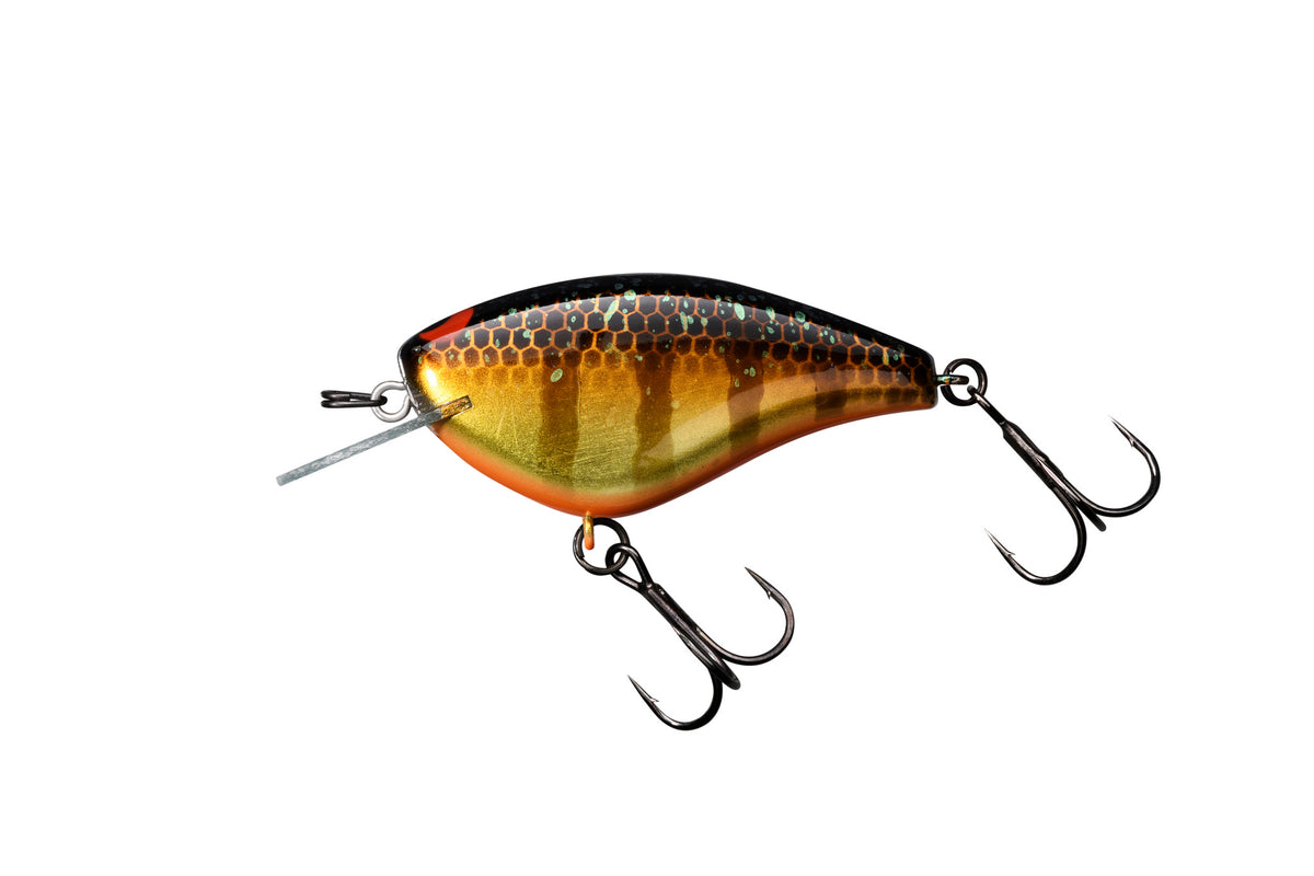 Jackall Bling 55