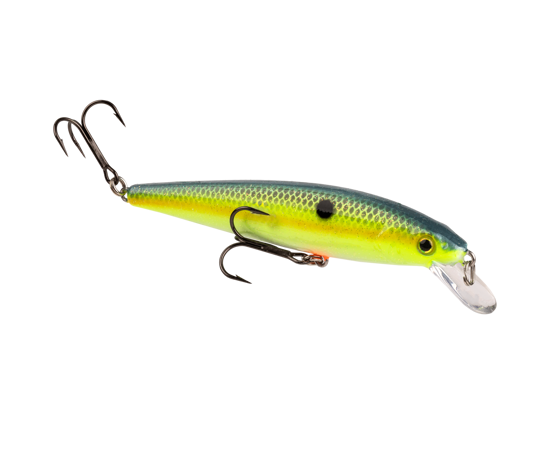 Strike King KVD Jerkbait 200 2 Hook