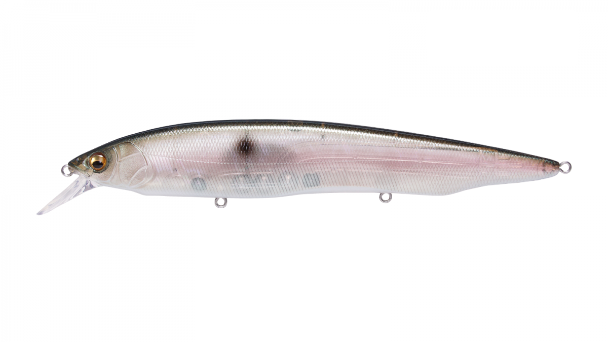 Megabass Kanata