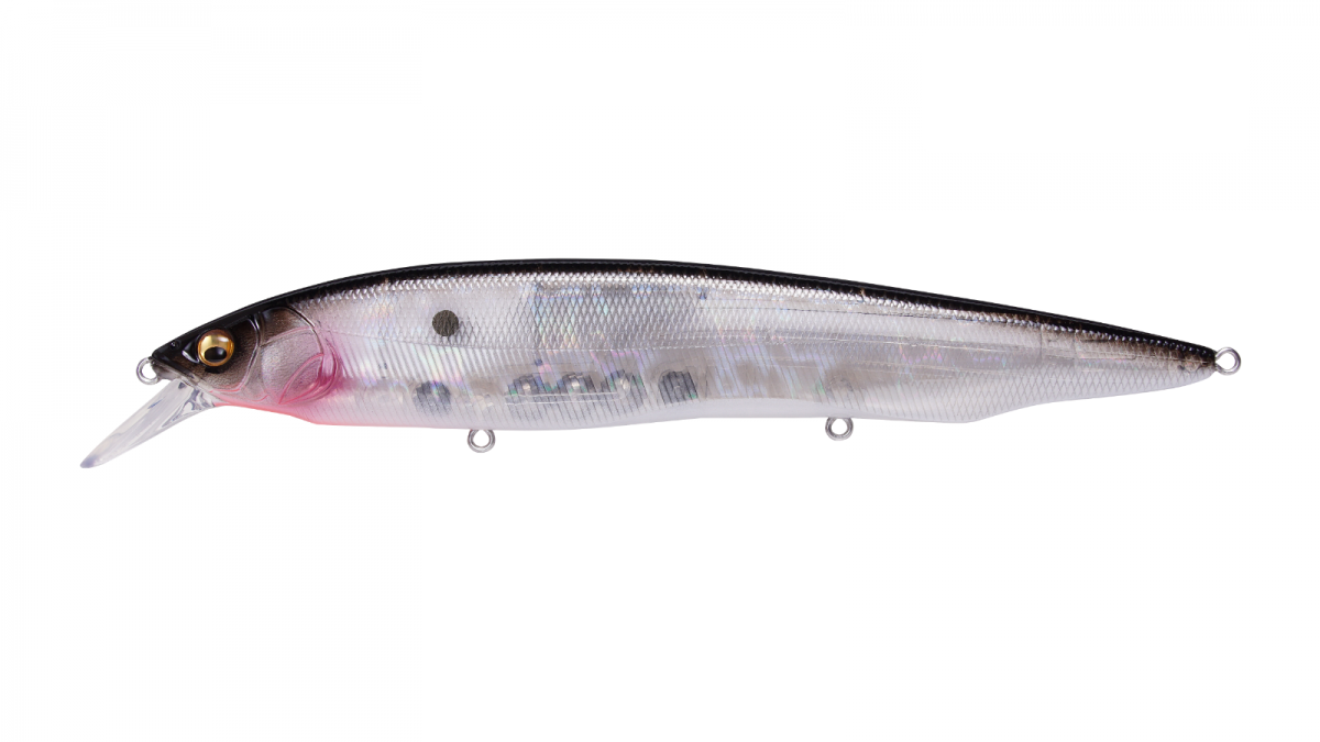 Megabass Kanata