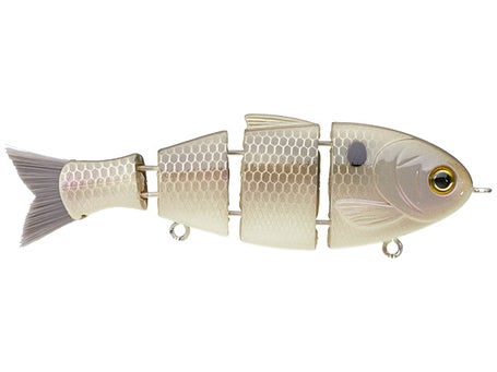 Mike Bucca Baby Bull Shad