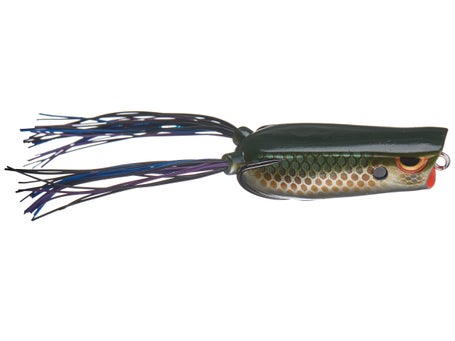 SPRO Dean Rojas Bronzeye Poppin Frog 60