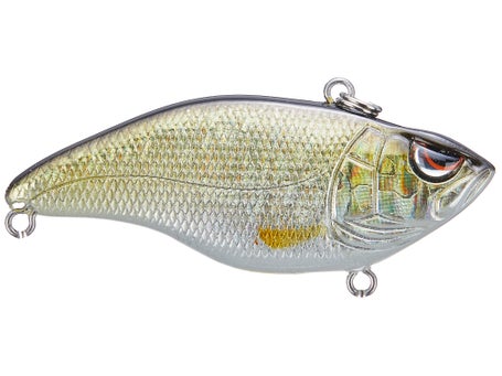 SPRO Aruku Shad Jr. 60
