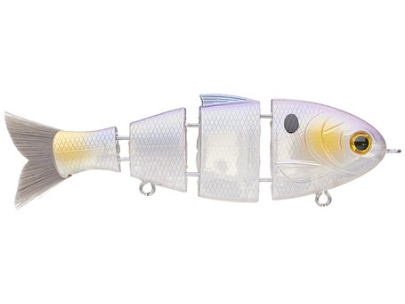 Mike Bucca Baby Bull Shad