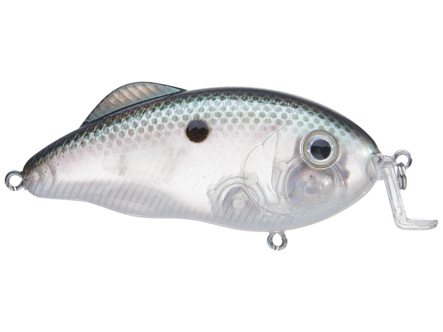 Strike King Hybrid Hunter Crankbait