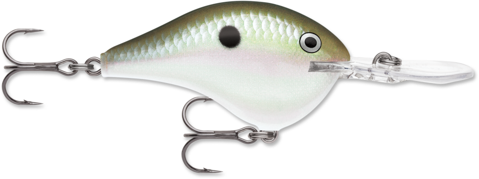Rapala Dives-To 10 Series DT10