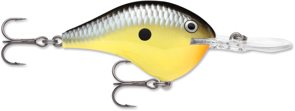 Rapala Dives-To 10 Series DT10