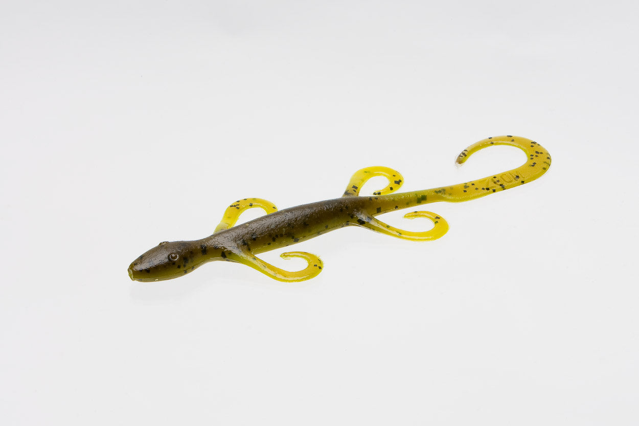 Zoom Lizards