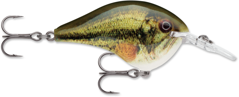 Rapala Dives-To 6 Series DT6