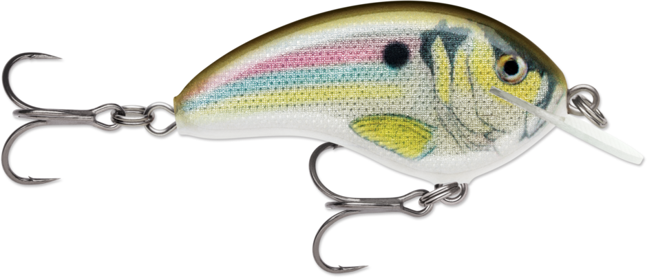 Rapala Ott's Garage Tiny 04
