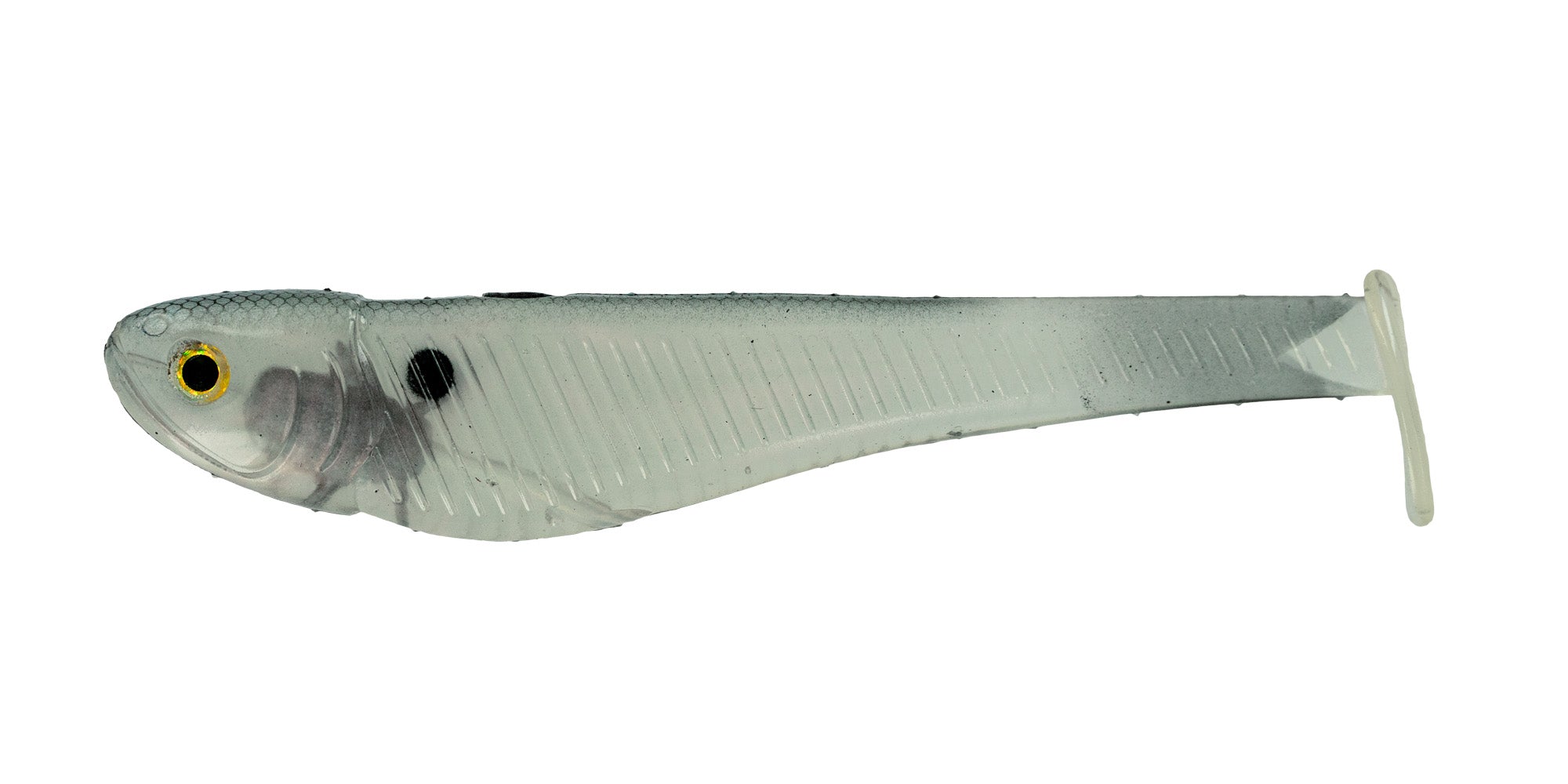 Big Bite Baits B6 Line Thru Swimbait