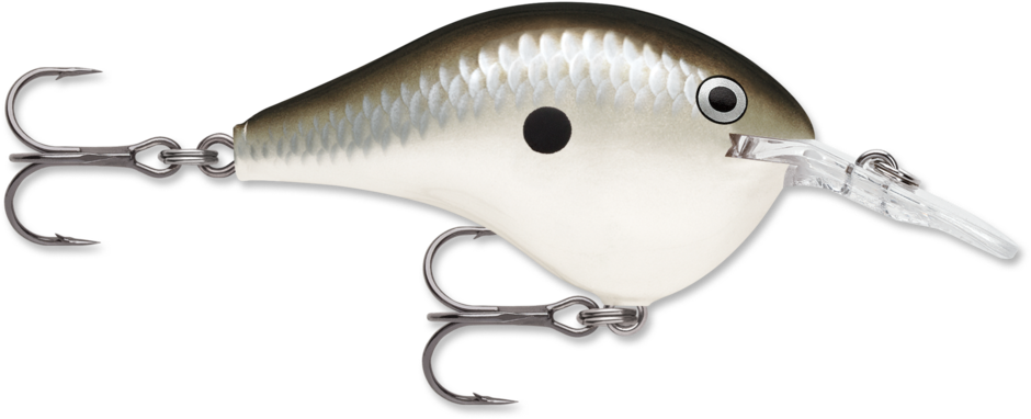 Rapala Dives-To 6 Series DT6