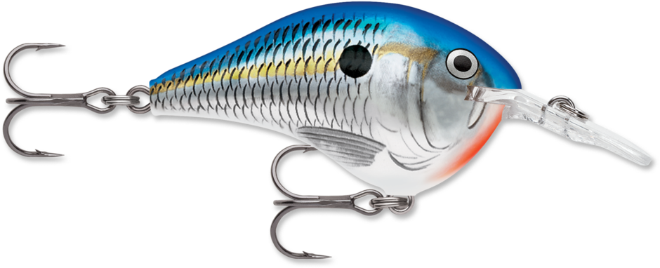 Rapala Dives-To 6 Series DT6