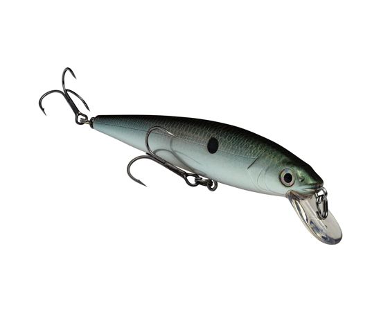 Strike King KVD Jerkbait 200 2 Hook