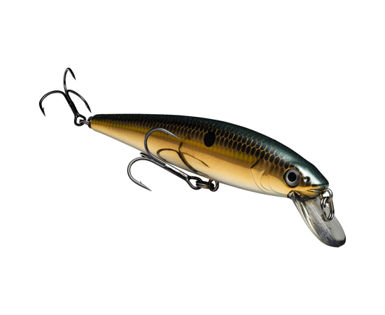 Strike King KVD Jerkbait 200 2 Hook
