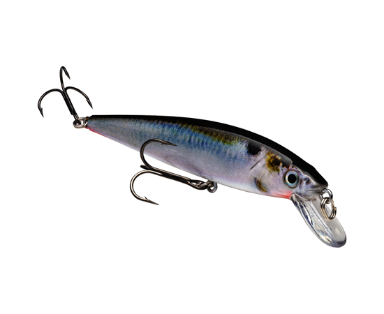 Strike King KVD Jerkbait 200 2 Hook