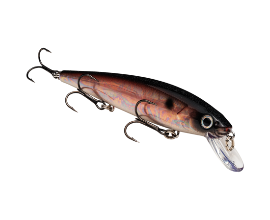 Strike King KVD Jerkbait 300 3 Hook
