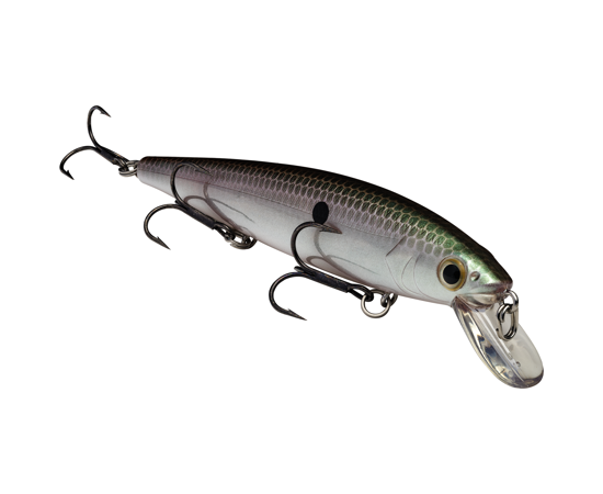 Strike King KVD Jerkbait 300 3 Hook