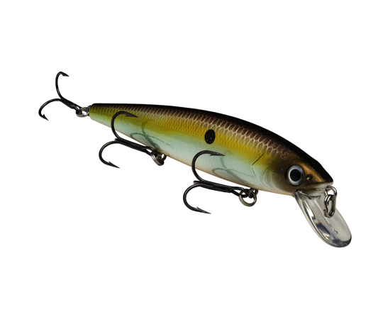 Strike King KVD Jerkbait 300 3 Hook