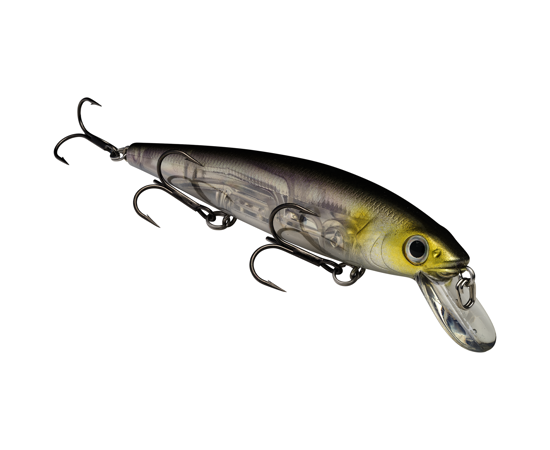 Strike King KVD Jerkbait 300 3 Hook