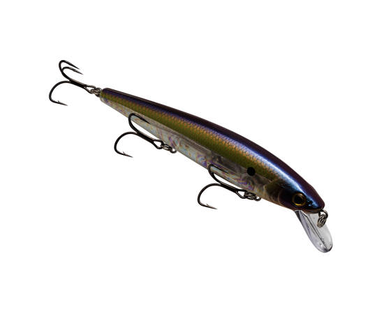 Strike King KVD Elite Jerkbait 300