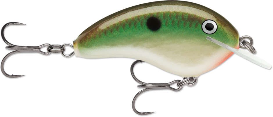 Rapala Ott's Garage Tiny 04