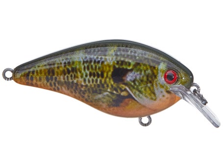Strike King KVD Squarebill 2.5