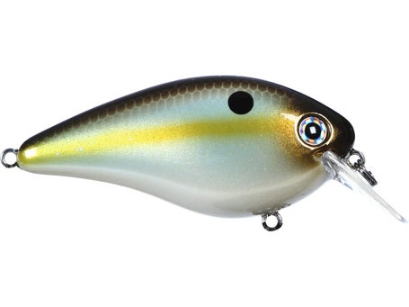 Strike King KVD Squarebill 2.5