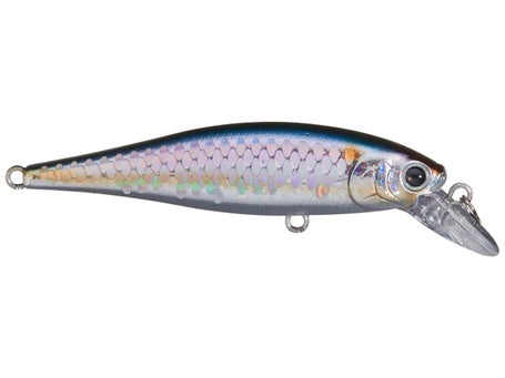 Lucky Craft Pointer Minnow 100mm