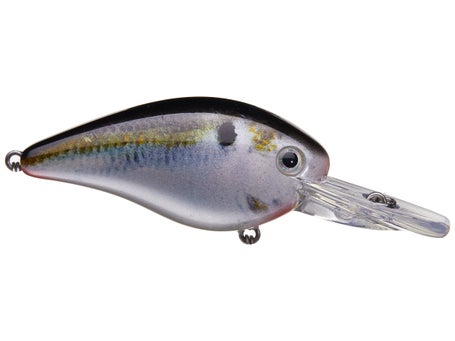 Strike King KVD Deep Diver Squarebill 1.5