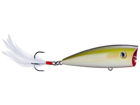 Strike King KVD Splash Popper