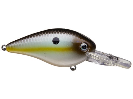 Strike King KVD Deep Diver Squarebill 1.5