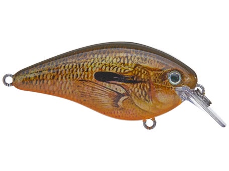 Strike King KVD Squarebill 2.5