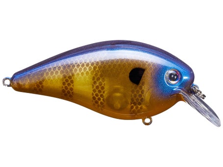 Strike King KVD Squarebill 2.5