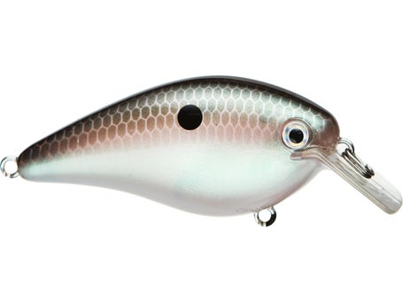 Strike King KVD Squarebill 2.5