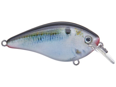 Strike King KVD Squarebill 2.5
