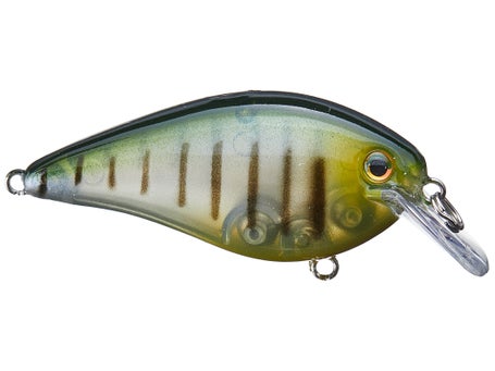 Strike King KVD Squarebill 2.5