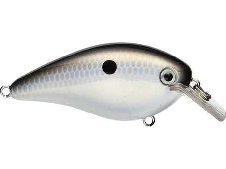 Strike King KVD Squarebill 2.5