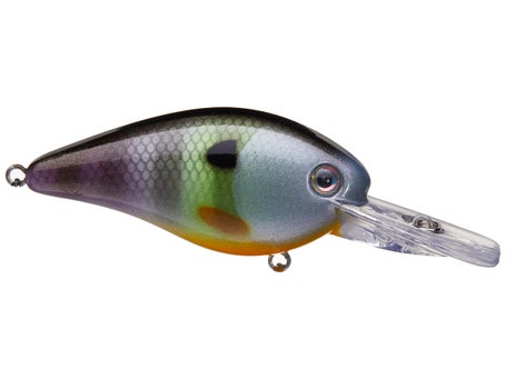 Strike King KVD Deep Diver Squarebill 1.5