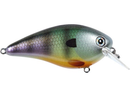 Strike King KVD Squarebill 2.5
