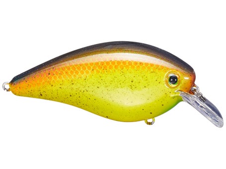 Strike King KVD Squarebill 2.5